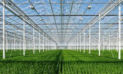 Yerköy'ün Jeotermal Sera OSB Projesi İçin Fizibilite Danışmanlığı Onaylandı