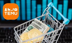 Temu Türkiye Alışveriş Yeniden Başladı! Yeni Gümrük Sistemi Nasıl İşleyecek?