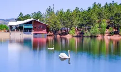 Yozgat Çamlığı Milli Parkı nerede? Yozgat Çamlığı Milli Parkı'na nasıl gidilir?