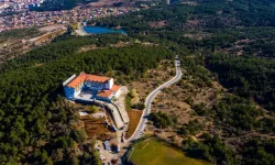 Yozgat Çamlığı Neresidir? Yozgat Çamlığı Neden Önemli?