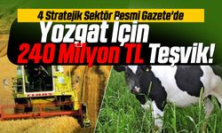 Yozgat İçin 240 Milyon TL Teşvik! 4 Stratejik Sektör Resmi Gazete'de