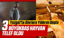 Yozgat'ta Ahırlara Yıldırım Düştü: 3 Büyükbaş Hayvan Telef Oldu