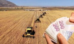 Yozgatlılar Dikkat: Tarımsal Destek Ödemesi Başladı, Hesaplara Ne Zaman Yatacak?