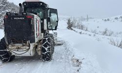 Yozgat'ta Karla Mücadele Devam Ediyor