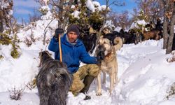 Yozgat’ta Köpeği Vuruldu: Otopsi Yaptırdı, Adalet İstiyor!
