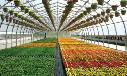 Yozgat'ta Sera Kurulum Desteği Var mı?