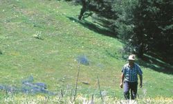 Yahyasaray Yaylası nerede? Yozgat Sırıklı Yaylası'na nasıl gidilir?