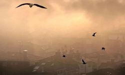 Hava kirliliği listesinde Türkiye'den 5 şehir yer aldı! İşte