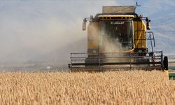 Tarım desteği hesaplara ne zaman yatacak? 2026 tarım desteği ne kadar?