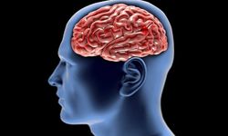 Ne Kadar Zeki Olduğunuzu Anlamanın Yolu Açıklandı!