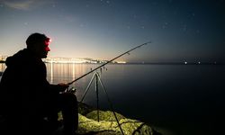 Yozgat'ta Balık Tutulabilecek Yerler: Çekerek Barajı'nda Hangi Balıklar Var, Sezon Ne Zaman Açılıyor?