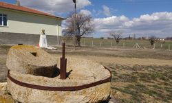 Büyükincirli Köyünde İncir Ağaçları Tarihe Karıştı