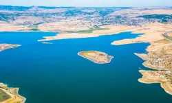 Yozgat'ta Balık Tutulabilecek Yerler: Çekerek Barajı'nda Hangi Balıklar Var, Sezon Ne Zaman Açılıyor?