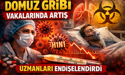 Domuz Gribi Vakalarında Artış Uzmanları Endişelendirdi
