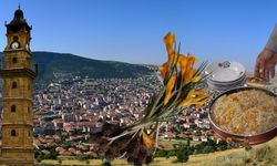 Çiğdem Gezmesi Nedir, Nasıl Yapılır? Yozgat’ın İlginç Bahar Geleneği