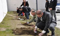 Geleceğe Nefes, Çınarlara Saygı: Yozgat’ta Fidanlar Toprakla Buluştu