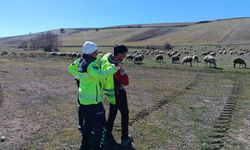 Jandarma Yozgat'ta Yaban Hayatını Koruyor