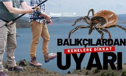 Balıkçılardan Uyarı: Kenelere Dikkat