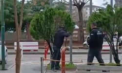 Hastane Bahçesinde Korkutan Görüntü