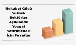 Rekabet Gücü Yüksek Sektörler Açıklandı: Yozgat Yatırımcıları İçin Fırsatlar