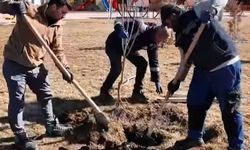 Sorgun Bahara Hazırlanıyor: İçimiz Açılacak