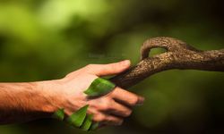 Sorgun Gençlik Derneği’nden İlham Veren Etkinlik: Katılım Sınırlı ve Ücretsiz