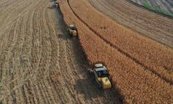 Tarımsal destek ödemesi hesaplara yattı mı?