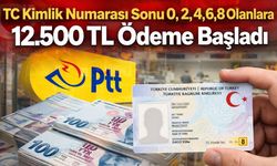 TC Kimlik Numarası Sonu 0, 2, 4, 6, 8 Olanlara 12.500 TL Ödeme Başladı