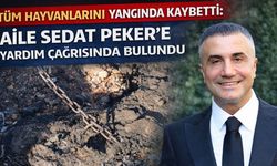 Tüm Hayvanlarını Yangında Kaybetti:  Aile Sedat Peker’e Yardım Çağrısında Bulundu