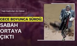 Gece Boyunca Sürdü, Sabah Ortaya Çıktı: Yaşlı Kadından Acı Haber