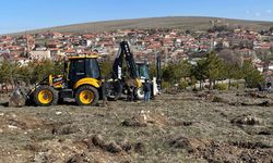 Yozgat'a Bahar Geldi, Fidanlar Toprakla Buluşuyor