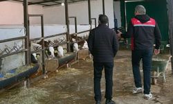 Yozgat'ın İlçelerinde Kontroller Devam Ediyor