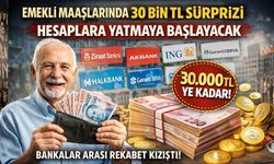 Emekliye 30 bin TL Müjdesi: Bankanıza Sormayı Unutmayın!