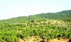 Yozgatlı Gençlere Avrupa Kapısı: Green Ready Başlıyor