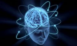 Yozgatlı Profesör Orucun Hücresel Etkilerini Bilimsel Olarak Açıkladı