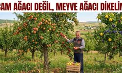 Yozgat'ta Başkan: Sorgun'un Verimli Toprağını Kullanmalıyız