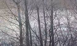 Yozgat'ta Dere Taştı, Tarım Arazileri Sular Altında Kaldı