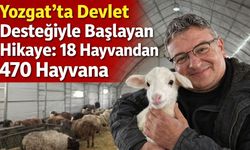 Yozgat'ta Devlet Desteğiyle Başlayan Hikaye: 18 Hayvandan 470 Hayvana