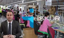 Yozgat’ta İstihdam Tablosu Ortaya Çıktı: Hangi Sektörler Öne Çıktı?