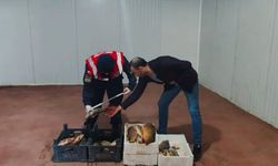 Yozgat'ta Jandarmadan Su Ürünlerine Titiz İnceleme