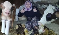 Yozgat’ta Mucize Gibi Dokunuş: Engelli Buzağıya Umut Oldu