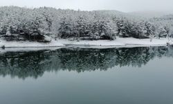 Yozgat'ta Sevdanın Dile Getirdiği Türkü: Ziya Türküsü