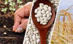 Yozgat'tan Kritik Uyarı: Destekleme Başvurusunda Hata Yapmayın