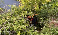 Gölete Düşen Hayvan İtfaiye Tarafından Kurtarıldı