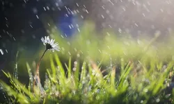 Nisan yağmuru hangi günlerde toplanır? Nisan yağmuru suyu şifalı mı? Nisan yağmuru suyu içilir mi?