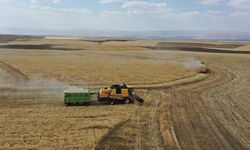 TC Kimlik Numarası'nın son hanesine göre yatırılıyor! 2026 mazot ve gübre desteği yattı mı?