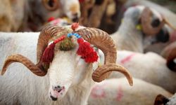 2026 Kurban Bayramı ne zaman, hangi gün? Kurban Bayramı tatili 9 gün olacak mı?