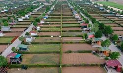 Hobi bahçeleri yasa teklifi son durum! Hobi bahçeleri yıkımı iptal mi oldu?