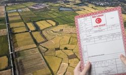 Tarla ve bahçesi olanlar dikkat! Bunu yapan hapse bile girebilir