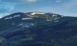 Yozgat'ta Doğa Tutkunları İçin Cennet: Bahar Enerjisi Tüm İlçeye Taştı